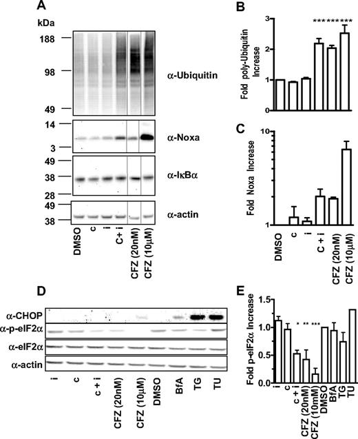 Figure 7. Inhibition of CT-L subunits is sufficient to cause modulation of polyubiquitinated proteins, Noxa and phospho-eIF2α. (A) MM1.S cells were 1-hour pulse-treated with DMSO, 0.18 μM CPSI (c), 0.27 μM IPSI (i), 0.18 μM CPSI plus 0.27 μM IPSI (c + i), 20 nM carfilzomib (CFZ 20 nM), or 10 μM carfilzomib (CFZ 10 μΜ), washed and incubated in compound-free media for a total of 4 hours. Cell lysates were electophoresed and transferred for Western blot detection with antibodies targeted against polyubiquitin, actin, Noxa, and IκBα. Quantitation of polyubiquitinated proteins (B) and Noxa (C) in compound-treated MM1.S cells. Mean ± SD for 3 independent experiments are shown. (D) MM1.S cells were 1-hour pulse-treated with 0.27 μM IPSI (i), 0.18 μM CPSI (c), 0.18 μM CPSI plus 0.27 μM IPSI (c + i), 20 nM carfilzomib (CFZ 20 nM), or 10 μM carfilzomib (CFZ 10 μΜ), DMSO, 1 μM brefeldin A (BfA), 1 μM thapsigargin (TG), and 2.5 μg/mL tunicamycin (TU), washed and incubated in compound-free media for a total of 6 hours (brefeldin A, tunicamycin, and thapsigargin were added back to the media). Cell lysates were electophoresed on sodium dodecyl sulfate-polyacrylamide gel electrophoresis and transferred for Western blot detection with antibodies targeting CHOP, eIF2α, phospho-eIF2α, and actin. (E) Quantitation of phospho-eIF2α in compound-treated MM1.S. Mean ± SD of 3 independent experiments are shown. One-way analysis of variance was performed and compound treatments resulting in statistically significant differences (as determined by Bonferroni post-hoc testing): *P < .05, **P < .01, ***P < .001.