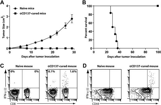 Figure 4. Mice cured with anti-CD137 mAb develop long-lasting antitumor immunity. (A-B) BALB/c mice treated and cured by anti-CD137 mAb therapy for more than 100 days or naive mice were (re)challenged subcutaneously with 5 × 106 A20 tumors at a different site from original tumor challenge. Mice were then monitored for tumor growth (A, mean ± SEM) and overall survival (B). (C-D) After tumor rechallenge, splenocytes from αCD137-cured mice or control splenocytes from naive mice were harvested, restimulated in vitro with irradiated A20 tumor cells for 24 hours, and assessed for intracellular IFN-γ secretion by flow cytometry. Dot plots from FACS analysis show the proportion of IFN-γ–positive cells among all CD3+ T cells (C) and CD8 T cells (D).