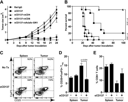 Figure 5. Anti-CD137 therapy requires NK and CD8 T cells and is enhanced by CD4 T-cell depletion. (A-B) BALB/c mice were inoculated subcutaneously with 5 × 106 A20 tumor cells. Depletion was initiated before tumor challenge as described in “Depletion of NK cells, CD4 T cells, CD8 T cells, and Tregs.” Mice received 1 intraperitoneal injection of either rat IgG or anti-CD137 mAb at day 6 after tumor inoculation. Groups include: rat IgG alone, anti-CD137 alone, CD4 depletion + anti-CD137, CD8 depletion + anti-CD137, or asialo GM1 depletion + anti-CD137. Mice were monitored for tumor growth (A, mean ± SEM) and overall survival (B). (C-E) BALB/c mice were inoculated subcutaneously with 5 × 106 A20 tumor cells and received either no treatment (Tx) or 1 intraperitoneal injection of anti-CD137 mAb at day 8 after tumor inoculation. Five days after treatment, mice were killed and tumors and spleens were collected for analysis. (C) Representative data of the percentage of CD25+FoxP3+ Tregs among CD4 T cells in both spleen and tumor from untreated and treated groups. (D-E) The average percentage of CD25+FoxP3+ Tregs among CD4 T cells (D) and CD8 T cells (E) among total lymphocytes between the untreated and treated groups (3 mice per group).