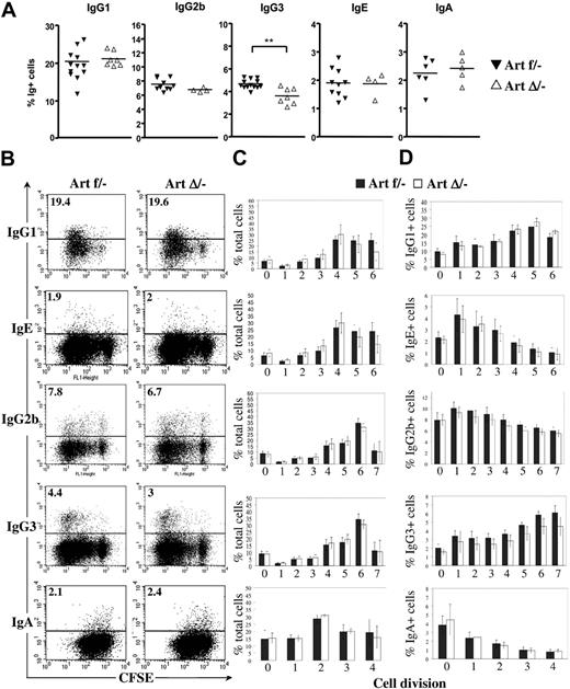 Figure 5. In vitro CSR analysis in ArteΔ/− B cells. Surface expression of switched isotypes. Purified B cells from Artfl/− and ArtΔ/− mice were labeled with CFSE and stimulated for 4 days with various polyclonal B-cell activators for switching to IgG1, IgE, IgG2b, IgG3, and IgA (“Purification and activation of splenic mature B cells in vitro”), and stained with anti-B220 and specific anti-Ig antibodies for flow cytometric analysis. All cells were B220+, assessing for the efficiency of B-cell purification. (A) Percentage of total B cells expressing IgG1, IgE, IgG2b, IgG3, and IgA, as determined by flow cytometric analysis on B cells from Artfl/− (▴) and ArtΔ/− mice (▵), after 4 days of in vitro stimulation. **Statistically significant difference (P > .003, 2-tailed Mann-Whitney test). (B) Analysis of CSR in the various subsets of proliferative B cells according to CFSE intensity. Plots show IgG1, IgE, IgG2b, IgG3, and IgA staining together with CFSE, on viable (propidium iodide–negative) lymphoid cells. The percentages of switched cells are indicated. (C-D) Percentages of total (C) and IgG1-, IgE-, IgG2b-, IgG3-, or IgA-switched (D) B cells that have undergone the indicated numbers of cell division, for Artfl/− and ArtΔ/− mice. Columns and bars represent mean and SD of independent animals depicted in panel A.