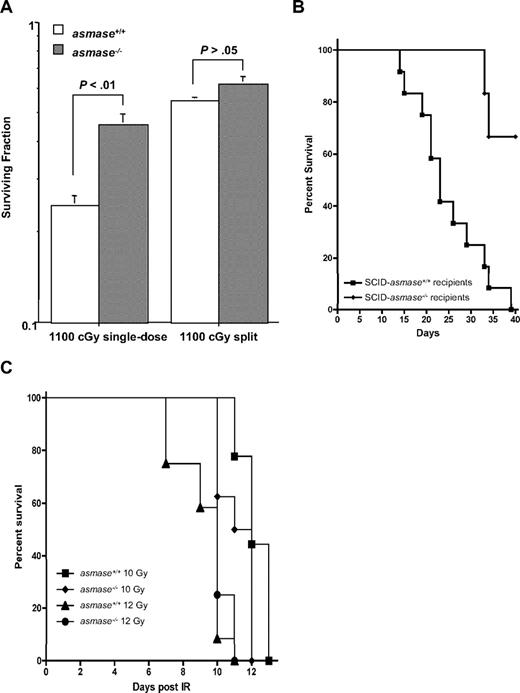 Figure 2. Preconditioning injury or host immune function does not contribute to impaired GVHD sensitivity in asmase−/− recipients. (A) Wild-type and asmase−/− C57BL/6 mice were exposed to 11-Gy split-dose radiation (5.5 Gy × 2 separated by 3 hours) or 11-Gy single dose. Proximal jejunum was harvested 3.5 days thereafter, and the microcolony assay performed according to the method of Withers and Elkind.35 Data (mean ± SEM) were compiled from 2 to 4 animals irradiated concomitantly, with 10 to 20 circumferences scored per mouse. (B) Irradiated (350 cGy split-dose) SCID-C57BL/6asmase+/+ or SCID-C57BL/6asmase−/− mice received BM and T cells as in Figure 1A, and were monitored for survival. Note that SCID-C57BL/6asmase−/− mice died with significant lung and central nervous system damage consistent with development of accelerated NPD while displaying only minimal to moderate evidence of GVHD (supplemental Table 2). (C) Actuarial survival of 8- to 12-week-old male wild-type and asmase−/− C57BL/6 mice exposed to 10 or 12 Gy whole-body radiation. Actuarial survival was calculated by the product-limit Kaplan-Meier method. Nine to 12 animals were irradiated per group.