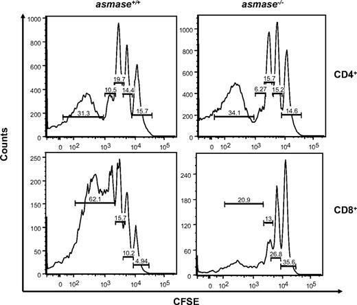 Figure 3. Donor CD8+ T-cell expansion is impaired in asmase−/− hosts. C57BL/6asmase+/+ and C57BL/6asmase−/− recipients were infused with 15 to 206 CFSE-stained splenic CD3+ T cells from LP/J donors as described in “Flow cytometric analysis and in vivo CFSE staining.” Spleens were harvested 7 days thereafter and multicolor flow cytometry was performed. Percentage of CFSE “high” (cells with mean fluorescent values ≥ 104) and “low” (mean fluorescent values ≤ 103) CD4+ and CD8+ populations are shown from 1 representative of 2 independent experiments.