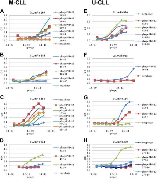 Figure 1. CLL mAbs bind phage-displayed peptides in a dose-dependent manner. Individual phages isolated after 3 rounds of selection with each CLL mAb were amplified and their antibody binding properties were studied by ELISA. A random phage clone derived from the initial phage library before selection was used as a negative control. (A-D) M-CLL mAbs 169, 183, 255, and 412. (E-H) U-CLL mAbs 014, 068, 114, and 270.