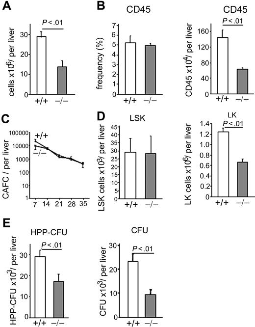Figure 1. Effect of p190-B deficiency on FL hematopoiesis. (A) FL cellularity of WT and p190-B−/− E14.5 embryos. Data shown are mean ± SD per liver (n = 24). (B) Frequency and total number of CD45+ cells per E14.5 FLs. Histograms show mean ± SD; n = 6. (C) Primitive progenitor cells evaluated using the CAFC assay. Total FL cells were cultured with FBMD-1 cells for 35 days. Frequency of CAFC for WT (+/+) and p190-B−/− (−/−) was determined on the day noted on the x-axis. Data represent total number of CAFC per liver, mean ± SEM (n = 3 independent experiments, n = 2 or 3 embryos per group in each experiment). (D) Total number of LSK and LK cells per liver, mean ± SD; n = 24. (E) Total number of HPP-CFU and CFU per liver (mean ± SD, n = 9-12, from 3 independent experiments).