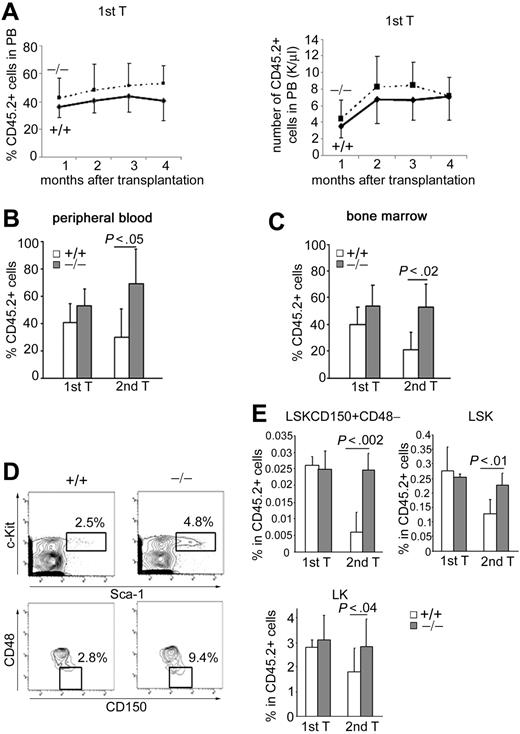 Figure 3. Highly enriched p190-B−/− HSCs exhibit enhanced long-term engraftment. Competitive repopulation assay of purified LSK FL cells. LSK FL cells (1500) plus 1.0 × 106 FL competitor cells were injected into lethally irradiated recipients. (A) Percentage of CD45.2+ cells (left panel) and absolute number of CD45.2+ cells (right panel) in the PB at the indicated time points after transplantation (mean ± SD; n = 4). (B-C) Histograms show the percentage of CD45.2+ in the PB (B) and BM (C) 4 to 6 months after primary and secondary transplantation (mean ± SD; n = 6). (D) Flow cytometry analysis dot plot of LSKCD150+CD48− frequency in CD45.2+ BM cells from secondary recipient. (E) Frequency of LSKCD150+CD48−, LSK, and LK cells in CD45.2+ BM cells of primary and secondary recipients 4 to 6 months after transplantation. Data are mean ± SD; n = 6.
