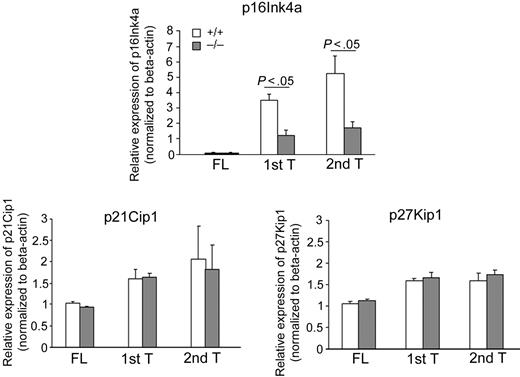 Figure 6. Maintenance of low expression of p16Ink4a in p190-B−/− HSC/P during serial transplantation. p16 Ink4a, p21Cip1, and p27Kip1 expression of FL LSK cells and donor-derived BM LSK cells during serial transplantation. FL LSK cells and CD45.2+ BM LSK cells from primary and secondary transplantation recipients 4 months after transplantation were purified by FACS sorting and used for RNA preparation. The relative mRNA expression level of each gene was examined by quantitative real-time PCR and normalized to β-actin expression. Experiments were performed in triplicate and in 2 independent transplants (mean ± SD of the replicate).
