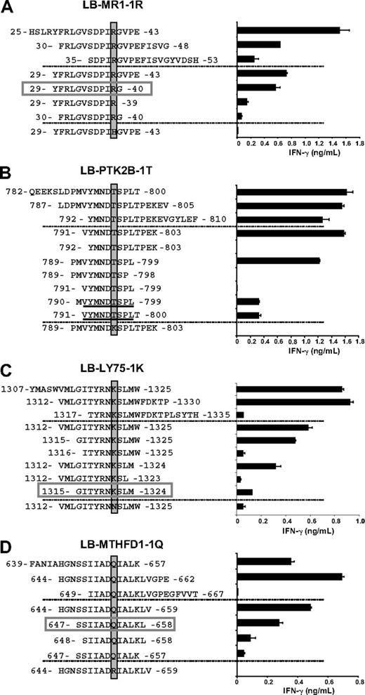 Figure 3. Identification of the minimal epitopes of the HLA-class II–restricted mHags. Three partially overlapping 19-mer peptides comprising a region of 14 amino acids upstream and downstream of the identified polymorphisms (top) as well as series of peptides containing N- and C-terminal truncations (middle) and a peptide comprising the polymorphism of the donor (bottom) were synthesized, pulsed onto donor EBV-LCLs, and tested for recognition by the mHag-specific CD4+ T-cell clones in IFN-γ ELISA. Indicated are the variant residue (shaded), the minimal epitope (boxed), and the core region of the minimal epitope (underlined). (A) T-cell clone 62 was tested against peptides comprising LB-MR1-1R. The minimal epitope is the 12-mer YFRLGVSDPIRG. (B) T-cell clone 78 was tested against peptides comprising LB-PTK2B-1T. The core region is the 9-mer VYMNDTSPL. (C) T-cell clone 80 was tested against peptides comprising LB-LY75-1K. The minimal epitope is the 10-mer GITYRNKSLM. (D) T-cell clone 87 was tested against peptides comprising LB-MTHFD1-1Q. The minimal epitope is the 12-mer SSIIADQIALKL. Mean release of IFN-γ (ng/mL) in 50-μL supernatants of duplicate wells is shown.