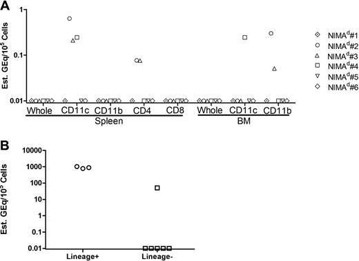 Figure 2. MMc in hematopoetic versus parenchymal cell lineages. (A) Cells from spleen and bone marrow of 6 NIMAd-exposed mice (standard breeding) were separated by expression of CD4, CD8, CD11b, and CD11c using MACS beads, and DNA was extracted from separated populations and tested for H2Dd MMc. The figure shows levels of MMc (GEq/105 sorted cells) in the sorted cell populations. Individual mice are represented by symbols as shown. (B) Cells of hematopoietic lineages (lineage+) and nonhematopoietic lineages (lineage−) were sorted from single-cell suspensions of heart tissue pooled from 8 NIMAd-exposed mice. Lineage+ cells were sorted with a lineage cell depletion kit containing a cocktail of monoclonal antibodies against CD5, CD45R (B220), CD11b, Gr-1 (Ly-6G/C), 7-4, and Ter-119. Maternal cells were detected using H2Dd qPCR from the sorted fractions. The dots represent replicate values of analysis of the pooled lineage+ or lineage− cell DNA sample.