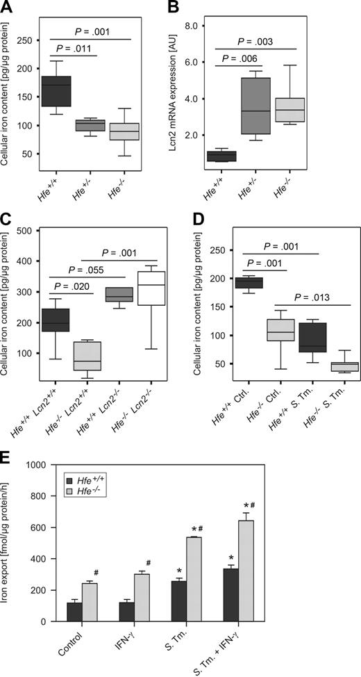 Figure 1. Macrophage iron content and Lcn2 expression as a function of Hfe genotype. Thioglycolate-elicited primary peritoneal macrophages were isolated from mice of the indicated genotypes grown under control conditions or infected with WT Salmonella Typhimurium (S Tm). The total cellular iron content was measured by atomic absorption spectrometry (A,C,D) and normalized for protein content. The transcriptional expression of genes contributing to macrophage transmembrane iron fluxes was determined by quantitative RT-PCR and normalized for Hprt expression (B). Iron export from WT and Hfe−/− macrophages was determined in 59Fe-transport studies. Data from 3 to 5 independent experiments were compared by analysis of variance (ANOVA) using Bonferroni correction or Kruskal-Wallis test, with statistical significance as indicated. Values are depicted as lower quartile, median, and upper quartile (boxes); minimum/maximum ranges (A-D); or as mean ± SEM (E), respectively.