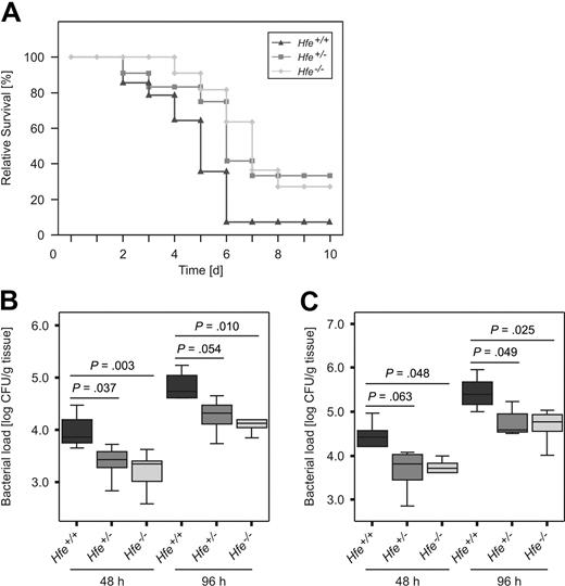 Figure 3. Effect of Hfe functionality on Salmonella infection in vivo. C57BL/6 WT, Hfe+/−, and Hfe−/− mice were infected intraperitoneally with 500 CFU of WT S Typhimurium. Survival was monitored during an observation period of 10 days and compared between subgroups using the Wilcoxon (Gehan) test (A). P = .007 for Hfe+/+ versus Hfe+/−, P = .049 for Hfe+/+ versus Hfe−/−. Bacterial loads in at least 6 animals per group were determined in livers (B) and spleens (C) of randomly selected animals at days 2 and 4 after infection. Data were log-transformed and compared by ANOVA with Bonferroni correction. Values are depicted as lower quartile, median, and upper quartile (boxes), and minimum/maximum ranges and statistical significance are indicated.