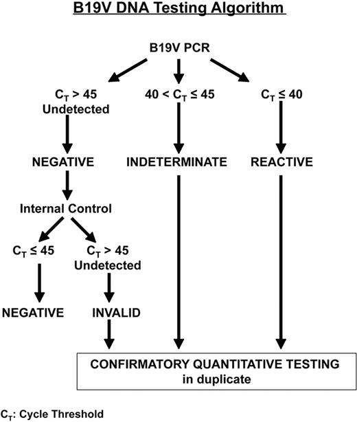 Figure 1. B19V DNA testing algorithm.