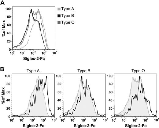 Figure 2. Differences in Siglec2-Fc binding do not reflect RBC aging. Human RBCs of A, B, and O blood groups were double labeled with Siglec-2-Fc, followed by secondary antibody (goat anti–mouse FITC), and with thiazole orange, which interacts with RNA that is found only in the young reticulocytes. Cells were analyzed by flow cytometry, and the fluorescence intensity of Siglec-2-Fc labeling is shown. (A) Siglec-2-Fc/FITC binding on type A RBCs (gray) was higher than that measured on type B (black) and type O (dark gray). (B) Thiazole orange–positive cell fraction comprising 1% to 1.5% of total RBCs (reticulocytes, black) was slightly shifted to the right, but the width of the histogram is similar to that of the thiazole orange-negative cells (mature RBCs, gray). Fifty thousand events were collected on a FACSCalibur flow cytometer with CellQuest software. Postcollection analysis was done with FlowJo software (TreeStar). The experiment was repeated 3 times with blood from 9 volunteers.