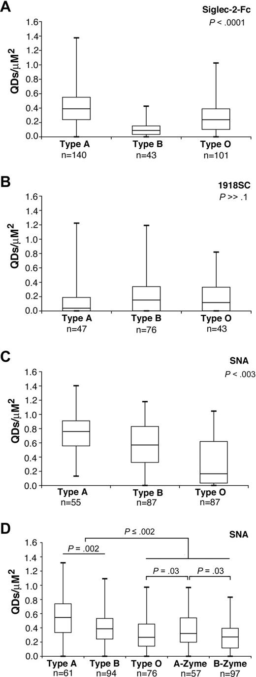 Figure 3. Differential binding patterns of 3 Siaα2-6–binding proteins to RBCs. RBCs from 9 human volunteers with blood types A, B, and O (3 from each group) were incubated with subagglutinating concentrations of Siglec-2-Fc-QDs, 1918SC-QD complex, or biotinylated SNA, followed by streptavidin-conjugated QDs. (A,C) Binding density of Siglec-2-Fc and SNA was unique to each blood type (P < .001 and P < .003, respectively). (B) No significant difference was observed in 1918SC hemagglutinin binding to the 3 blood groups (P ≫ .1). (D) Enzymatic treatment of type A and B RBCs with A- and B-Zyme, respectively, significantly decreased SNA density (P < .002). No significant difference was found between B-Zyme–treated and type O RBCs (P = .71). The experiment was repeated 3 times, and representative results for a single volunteer from each blood group are shown. Statistical significance was determined by an unpaired, 2-tailed t test. n = number of cells in each group.
