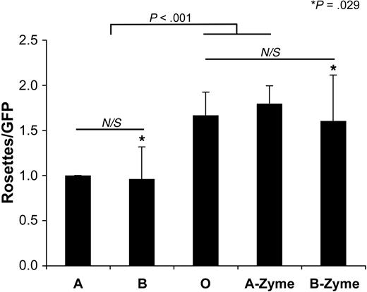 Figure 6. P falciparum EBA-175 preferably binds type O RBCs. RBCs were allowed to interact with COS7 cells expressing pfEBA-175 along with GFP.21 Unbound cells were washed, and the percentage of rosettes per GFP-expressing cell was determined for each sample; results were normalized such that rosettes/GFP for type A RBCs equal to 1. Whereas type A and B RBCs formed the same number of rosettes/GFP-positive cell, type O RBCs formed 1.65× more rosettes/GFP (n = 6, P < .001). A-Zyme–treated and B-Zyme–treated RBCs formed the same number of rosettes/GFP-positive cell as type O RBCs (n = 3, P = .4). Statistical significance was determined by an unpaired, 2-tailed t test. Error bars indicate SD.