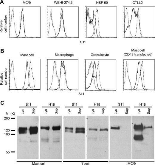 Figure 1. CD43 is selectively shed from murine cells. (A) Flow cytometry analysis of CD43 cell surface expression on murine cell lines using CD43 antibody S11. Cells were stimulated for 3 hours with 10 nM TPA (solid line), vehicle alone (dashed line), and isotype control (dotted line). (B) Flow cytometric analysis of CD43 cell-surface expression on bone marrow–derived mast cells, macrophages, granulocytes, and CD43-deficient mast cells reconstituted with FLAG-CD43. Cells were stimulated for 3 hours with 10 nM TPA (solid line), vehicle alone (dashed line), and isotype control (dotted line). (C) Western blot analysis of FLAG immunoprecipitates from cell lysates (5 × 106 cells/well) and conditioned media of primary mast cells, activated CD8 T cells (spleen), and MC/9 cells infected with FLAG-CD43. Data are representative of at least 2 repeat experiments.