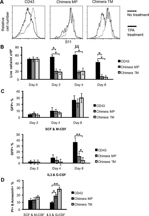 Figure 2. Ectopic expression of nonsheddable CD43/34 chimeras is toxic. (A) Flow cytometric analysis of CD43 cell surface expression on CD43-deficient bone marrow cells infected with wt CD43 or CD43/34 chimeras MP and TM. After retroviral infection, cells were differentiated for 5 days into granulocytes and then stimulated for 3 hours with 10 nM TPA (solid line) or vehicle alone (dashed line). Cells shown were gated on GR-1+, and data are representative of 3 repeat experiments. (B) Cell yield of CD43-deficient bone marrow cells infected with wt CD43 or CD43/34 chimeras maintained for up to 8 days in IL-3/G-CSF. Numbers of PI− cells are shown for days 0, 2, 4, and 8. n = 4; *P = .001 and **P = .001 (Student t test). (C) Cell yield of CD43-deficient bone marrow cells infected with wt CD43 or CD43/34 chimeras maintained in SCF/M-CSF (top panel) or in IL-3/G-CSF (bottom panel). Percentages of GFP+/PI− cells are shown for days 2, 4, and 8 after infection. *P = .01 and **P = .007 (Student t test). (D) Percentage of annexin V+/PI+ cells is shown at day 8 of CD43-deficient bone marrow cells infected with either wt CD43 or CD43/34 chimeras. During retroviral infection, cells were maintained for 2 days in SCF/Flt3/IL-6, then split and cultured for additional 6 days in either SCF/M-CSF or IL-3/G-CSF. n = 4; *P = .007 and **P = .001 (Student t test). Data are mean ± SD and are representative of at least 3 independent experiments.