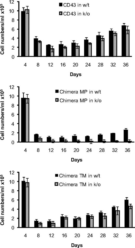 Figure 3. Endogenous expressed CD43 reduces toxicity of CD43/34 chimeras. Mast cell differentiation of wt and CD43-deficient bone marrow cells after retroviral infection with wt CD43 (top panel), CD43/34 chimera MP (middle panel), or chimera TM (bottom panel). Yields of GFP+/PI− cells are shown in 4-day intervals up to day 36 after retroviral infection. Data are mean ± SD (n = 3) and are representative of 2 independent experiments.
