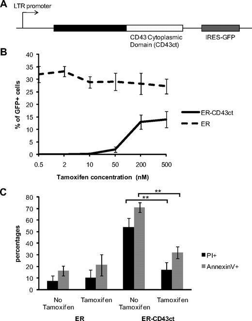 Figure 5. Inhibition of nuclear translocation of CD43ct induces apoptosis. (A) Diagram of the plasmid encoding the ER-CD43ct fusion protein. (B) CD43-deficient bone marrow cells infected with ER-CD43ct or ER were grown for 5 days in IL-3/G-CSF. Percentages of GFP+/PI− cells are shown in cultures supplemented with increasing concentrations of tamoxifen. (C) Aliquots of cultures kept in 100 nM tamoxifen were deprived of tamoxifen at day 5 for 1 day. Percentages of PI+ and percentages of annexin V+ cells are shown at day 6 in cultures maintained without tamoxifen and cultures with tamoxifen. **P = .001. Data are mean ± SD (n = 3) and are representative of 2 independent experiments.