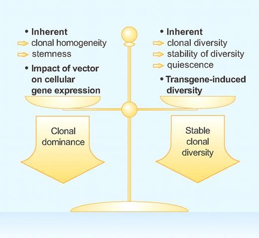 Therapeutic gene transfer with integrating vectors can result in the outgrowth of dominant cells clones and the development of malignancies or in “peaceful coexistence” of gene-modified cell clones and stable clonal diversity. The factors that favor each of these 2 options are listed and discussed in the text in more detail. Professional illustration by Paulette Dennis.