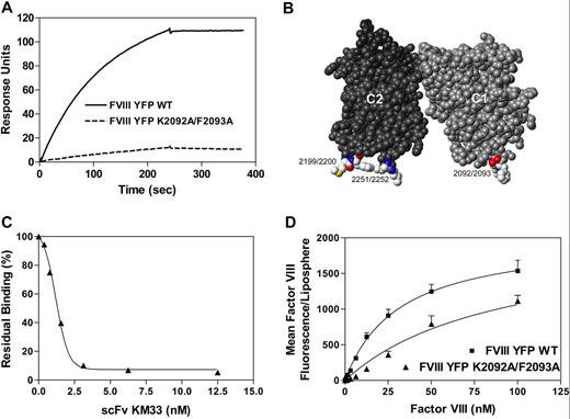 Figure 1. Identification of a factor VIII C1 domain epitope that participates in binding to phospholipid membranes. (A) Factor VIII residues K2092 to F2093 are critical for KM33 binding. KM33scFv (5 nM) was passed over fVIIIYFP or fVIIIYFP 2092/93 as described in detail in “Surface plasmon resonance.” Dissociation was initiated on replacement of ligand solution by buffer. (B) Space-filling display of the C1 and C2 domains of factor VIII crystal structure (PDB ID: 2r7e). The C2 domain is depicted in dark gray, whereas the C1 domain is medium gray. Mutated residues of the KM33scFv epitope on the C1 domain and the 4 membrane-interactive hydrophobic residues of the C2 domain are highlighted by coloring according to the CPK scheme. (C) KM33scFv inhibits membrane binding of factor VIII. Fluorescein-labeled factor VIII (3 nM) was incubated with KM33scFv (0-12.5 nM) before the addition of 15% Ptd-L-Ser–containing lipospheres. After 15 minutes, bound factor VIII was measured by flow cytometry. The result displayed represents the average of 2 experiments. (D) fVIIIYFP 2092/93 has reduced affinity for phospholipid membranes. fVIIIYFP (■) or fVIIIYFP 2092/93 (▲) was incubated with lipospheres containing 15% Ptd-L-Ser. After 15 minutes, bound factor VIII was determined by flow cytometry. Data represent the mean ± SEM of 3 experiments. KD values obtained from fitted curves were 31 nM ± 2 nM for fVIIIYFP and 91 nM ± 6 nM for factor fVIIIYFP 2092/93. The KD value for fVIIIYFP 2092/93 was obtained by assuming that the maximum phospholipid binding, at saturation, would be equivalent to wild-type factor VIII.