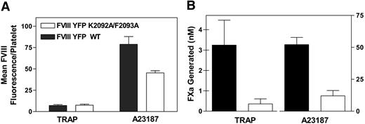 Figure 5. Function of Lys 2092 and Phe 2093 in binding to platelets and platelet-dependent activity. (A) fVIIIYFP (solid columns) or fVIIIYFP 2092/93 (open columns) (10 nM) were incubated with platelets stimulated with TRAP or A23187. After 10 minutes of incubation at room temperature, bound factor VIII was determined by flow cytometry. Values were corrected for the quantity of fluorescence from factor VIII in the presence of resting platelets (7-11 fluorescence units). Bars represent the mean ± SEM of at least 4 experiments. (B) Platelets were activated with TRAP or A23187 for 10 minutes at room temperature and added to factor VIII, factor IXa, factor X, and Ca2+. After 5 minutes, the reaction was stopped by adding 16 mM ethylenediaminetetraacetic acid. The generation of factor Xa was measured by monitoring the rate of cleavage of chromogenic substrate S2765. Solid columns represent fVIIIYFP; open columns, fVIIIYFP 2092/93. Data represent the mean ± SEM for 4 experiments. Maximum activity for TRAP-stimulated platelets ranged from 0.5 to 5.5 nM (fVIIIYFP) and 0 to 1.0 nM (fVIIIYFP 2092/93) FXa generated and from 37 to 61 nM (fVIIIYFP) and 9 to 21 nM (fVIIIYFP 2092/93) FXa generated for A23187-stimulated platelets.