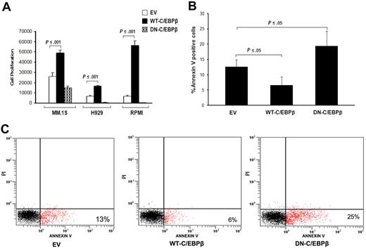 Figure 4. C/EBPβ induces MM cell proliferation and is involved in apoptosis. Proliferation and apoptosis of transfected MM cells with EV, WT-C/EBPβ, or DN-C/EBPβ were analyzed. (A) DNA synthesis was measured by 3H-thymidine incorporation and results are presented as mean of quadruplicates. (B) The graph represents the mean (n = 4) of the percentage of transfected MM cells that have undergone apoptosis measured by annexin V staining. Error bars indicate SD of the mean. (C) Percentage of apoptotic cells of transfected cells was analyzed by annexin V binding/PI staining using flow cytometry. Panel C figure shows a representative experiment of panel B.