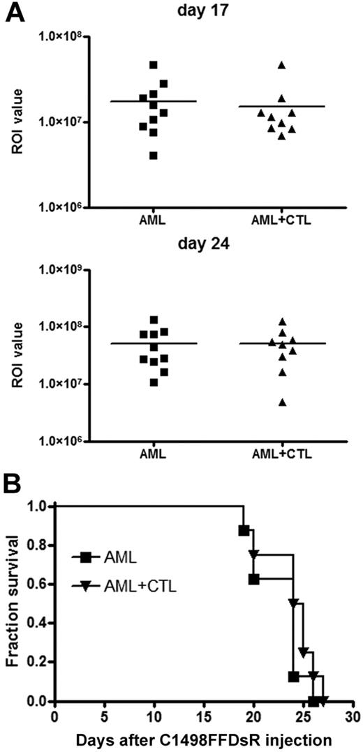 Figure 2. CTLs fail to control advanced AML disease in vivo. B6 mice (10 mice/group) were injected with 106 C1498FFDsR cells through an intravenous route 14 days before being infused with 30 × 106 CTLs. Mice were then monitored for survival. Infusion of CTLs 14 days after tumor injection showed no reduction of AML burden (A, ■ vs ▴) or survival advantage (B, ■ vs ▴). Results from 1 of 5 representative experiments are shown.