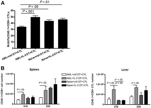 Figure 6. Combined IL-2DT treatment restored the proliferation and number of CTLs at sites of AML metastases. Naive or tumor-bearing mice were treated with IL-2DT or control DT (1 μg/dose) 4 and 13 days after tumor injection. Congenic B6-Ly5.2 (CD45.1+) CTLs (30 × 106/dose) were then injected intravenously 14 days after tumor injection and mice were fed with BrdU water to track proliferation. Eighteen days after tumor injection, 4 mice per group were killed. Flow cytometric analysis was done with liver leukocytes and splenocytes. IL-2DT treatment significantly augmented the percentage of BrdU+ CTLs in the spleens compared with control DT treatment. IL-2DT treatment significantly increased the percentage (A) and number (B) of CTLs found in the livers and spleens compared with control DT treatment. Representative data from 1 of 2 similar experiments are shown. Error bars represent SD.