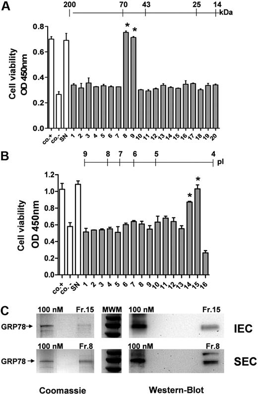 Figure 3. Identification of GRP-78 in the prostate carcinoma cell supernatant. (A) SEC of PC-3 supernatants was performed, and single fractions were tested on HUVECs in the WST-1 cell viability assay. All fractions were tested in the presence of 10 ng/mL bortezomib in direct comparison with unfractionated supernatant (SN). Untreated HUVECs served as positive control (co.+) and HUVECs stimulated with bortezomib in the absence of tumor supernatant as negative control (co.−). The scale indicates the molecular weight (kDa) of the individual fractions. A fraction with the molecular size of approximately 70 kDa showed the strongest inhibitory effect on endothelial cell growth. (B) IEC of PC-3 supernatants was performed, and the fractions were analyzed in HUVECs in the WST-1 assay. The scale indicates the approximate pI of the various fractions. Only a very acidic fraction with a pI of less than 4.5 was able to block the antiangiogenic effect on HUVECs. Bars represent mean ± SEM. *P < .05. (C) GRP-78 was the main compound in both biologically active fractions (Fr.8 from SEC and Fr.15 from IEC). Fractions were analyzed with recombinant GRP-78 (100-nM solution) either by SDS-PAGE stained with Coomassie (left panels) or by Western blot (right panel) to estimate GRP-78 concentrations and purity.
