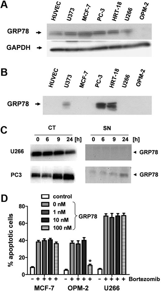 Figure 4. GRP-78 is up-regulated and secreted from bortezomib-resistant tumor cells. (A) Western blot analysis of intracellular protein levels of GRP-78 in solid tumor cell lines (U373, MCF-7, PC-3, and HRT-18), myeloma cells (U266, OPM-2), and human endothelial cells (HUVECs). GADPH served as internal loading control. (B) GRP-78 analysis in conditioned supernatants of human solid tumor cell lines and HUVECs. (C) Myeloma (U266) and prostate carcinoma (PC-3) cells were stimulated with 5 ng/mL bortezomib for 24 hours. GRP-78 protein levels were analyzed by Western blot in cytosolic extracts (CT) and supernatant (SN). (D) Different concentrations of recombinant GRP-78 ranging from 0 to 100nM were used to inhibit the antiangiogenic action of bortezomib. Bortezomib-sensitive MCF7 and myeloma cells (U266 and OPM-2) were stimulated with 10 ng/mL bortezomib. Apoptotic cells (percentage) were determined by flow cytometry after annexin V/7-AAD staining. Bars represent mean ± SEM. *P < .05.