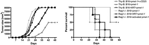 Figure 4. Lymphoreplete hosts tyreated with Treg depletion show superior survivals compared with hosts receiving preimmunotherapy irradiation or activated T cells. Tumor growth curves (left) and survival curves (right) of treated groups as shown. Radiation therapy (500 cGy) administered to groups shown on day −1, B16 tumors inoculated subcutaneously on day 0, and pmel-1 cells administered on day 3. Where indicated, pmel-1 cells were activated before transfer as described in “Methods.” Results representative of 2 separate experiments (n = 4 or 5/group in each experiment). *P < .05.
