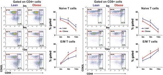 Figure 2. Obesity decreases naive T cells and expands memory cells. Chow-fed control mice and mice fed a high-fat (60%) diet were evaluated for naive (CD62L+CD44−; red box) E/M (CD62L−CD44+) CD4 and CD8 T cells at 3 months (n = 10-12/group), 9 months (n = 8/group), and 13 months (n = 12/group) of age. Obesity significantly reduces naive cells (top left quadrant) and expands E/M splenic T cells (bottom right quadrant) in 9- and 13-month-old mice but not at 3 months of age.