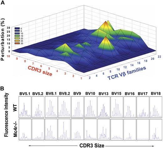 Figure 6. Mc4r-mediated adiposity induces premature restriction of TCR diversity. (A) The TCR spectratyping analysis of CD4 T cells from control and Mc4r-null mice is shown. The x-axis shows CDR3 lengths, and each line crossing on the y-axis of the landscape denotes perturbation for a specific CDR3 size (x-axis), whereas individual Vβ are shown on the z-axis. The mountain (in green, yellow, and orange) depicts perturbation in amplified peaks of CDR3 lengths of MC4R−/− animals in comparison to WT mice (n = 5). (B) Representative Vβ results of CDR3 size spectratyping in WT and Mc4r-null mice.