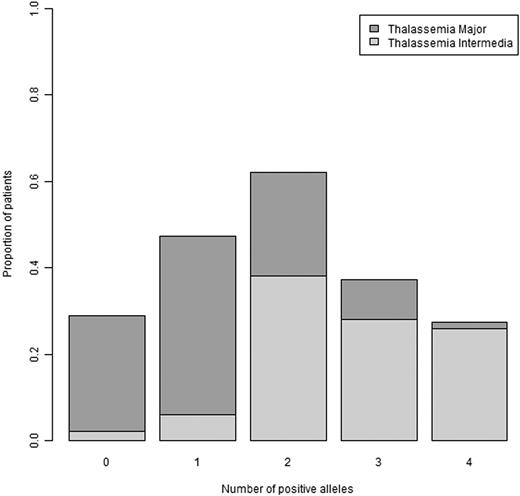 Figure 1. Proportion of patients and number of ameliorating alleles in the 2 groups. The figure shows the proportion of thalassemia major and thalassemia intermedia patients carrying 0, 1, or more of the alleles considered to be responsible for the amelioration of the clinical expression of the phenotype (positive alleles). Persons carrying more than 4 positive alleles were not observed.