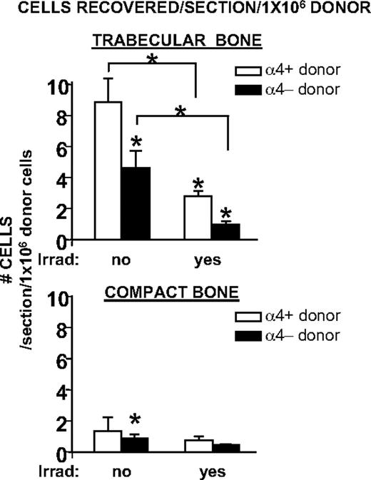 Figure 3. Retention efficiency of transplanted progenitor-enriched cells in nonirradiated and irradiated trabecular or compact bone. Irradiation was associated with a markedly reduced efficiency of BM seeding. This is depicted as number of recovered donor cells/bone section, normalized to 1 × 106 donor cells. Seeding efficiency in trabecular bone was approximately 6-fold higher than in compact bone. α4 integrin-deficient progenitor-enriched cells showed an overall reduced seeding, confirming all prior data on impaired homing of α4 integrin-deficient cells. All columns and cross bars shown represent mean values ± SEM; *P < .05.