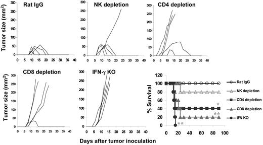 Figure 3. Importance of T cells, NK cells, and IFN-γ in gp96 vaccine–induced tumor protection. Mice (5 per group) were subcutaneously vaccinated twice with pooled heterologous gp96BCD and depleted of CD4+ or CD8+ T cells or NK cells by specific mAbs before tumor-A challenge, or IFNγ−/− mice were subcutaneously vaccinated twice with gp96BCD and followed by tumor A challenge. Tumor burdens were measured twice each week. Mice were killed when subcutaneous tumors reached 225 mm2 or when mice became moribund. Results shown are measurements of tumor burdens and survival of mice that received different treatments. Representative results of 1 of 2 independent experiments performed are shown. *P < .05; **P < .01 (compared with controls).