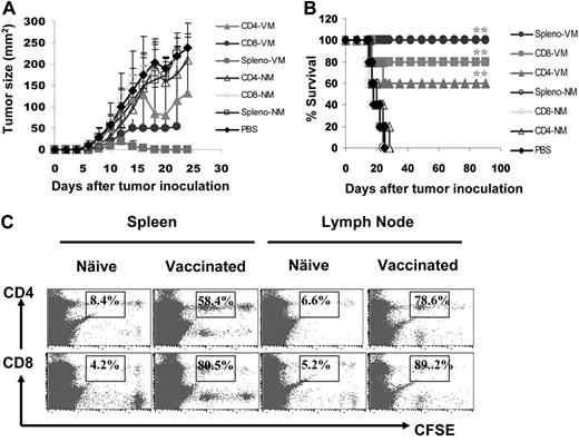 Figure 4. Effects of adoptively transferred T cells on myeloma development. Mice (5 per group) were challenged with tumor A cells, followed by intravenous infusion of 107 splenocytes or purified CD4+ and CD8+ T cells from tumor-A surviving mice vaccinated with gp96BCD or naive Balb/c mice 7 days later. Shown are (A) tumor burdens and (B) survival of mice receiving different T cells; or (C) percentages of proliferating CD4+ and CD8+ T cells measured by CFSE dilution in the spleens or lymph nodes of mice receiving CFSE-labeled splenocytes from naive or gp96BCD-vaccinated mice. The error bars in panel A represent SD of 5 mice. Representative results of 1 of 3 independent experiments performed are shown. *P < .05; **P < .01 (compared with controls).