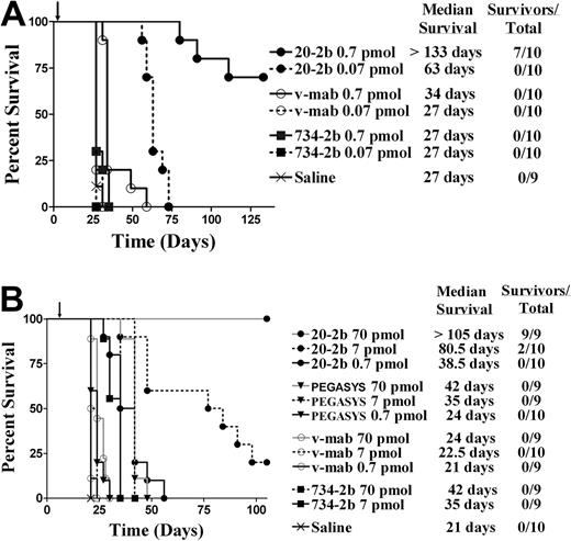 Figure 5. Survival curves showing therapeutic efficacy of 20-2b in a disseminated Burkitt lymphoma (Daudi) xenograft model. Female C.B.17 SCID mice were administered Daudi cells intravenously on day 0. Treatments consisted of 20-2b (●), 734-2b (■), v-mab (○), PEGASYS (▾), or saline (X) given as a single subcutaneous dose. Days of treatment are indicated with arrows. Survival curves were analyzed using Prism software. (A) Early Daudi model. Groups of 10 mice were given a single dose of 0.7 pmol (solid line) or 0.07 pmol (dashed line) on day 1. (B) Advanced Daudi model. Groups of 10 mice were given a single dose of 0.7 pmol (solid line), 7 pmol (dashed line), or 70 pmol (gray line) on day 7.