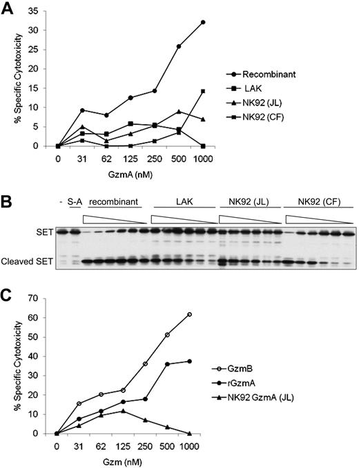 Figure 1. Recombinant human granzyme A induces cell death more potently than granzyme A isolated from lymphokine-activated killer or NK cells. (A) Four sources of GzmA were added with a sublytic concentration of perforin to K562 cells at the indicated concentrations. Percent specific cytotoxicity was calculated by 51Cr release after 4 hours. Background cytolysis of cells treated with perforin without GzmA was subtracted. GzmA was either rGzmA or native GzmA purified from human lymphokine-activated killer (LAK) cells or NK92 cells either by us (JL) or from NK92 cells by the Froelich laboratory (CF). (B) The 4 sources of GzmA were also compared for in vitro cleavage of recombinant SET protein using 2-fold serial dilutions at concentrations ranging from 31nM to 1000nM. Reactions were incubated for 1 hour at 37°C. Enzymatically inactive rGzmA in which the active site Ser is mutated to Ala (S-A) was an additional negative control. (C) Cytotoxicity by rGzmA was compared with cytotoxicity induced by native GzmB purified from an NK-cell line (YT-Indy) and native GzmA from NK92 cells. 51Cr release assay performed as in panel A.