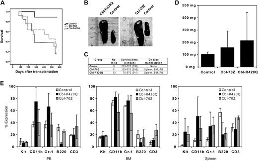 Figure 2. Expression of Cbl mutants led to a lethal mastocytosis and myeloproliferative disease in a murine bone marrow transplantation model. (A) Kaplan-Meier survival curve for recipients of bone marrow transduced with Cbl-70Z, Cbl-R420Q, or empty vector (Control). (B) Splenomegaly in mice that received transplantations of Cbl mutant-transduced bone marrow cells; empty vector (Control). (C) Analysis of mice. BM indicates bone marrow; and PB, peripheral blood. (D) Comparison of spleen weight from mice receiving bone marrow transduced with Cbl mutants. (E) Comparison of immunophenotype of peripheral blood (PB), bone marrow (BM), and spleen cells from mice receiving bone marrow transduced with Cbl mutants representing lineage-specific antigens (Kit, CD-11b, Gr-1, B220, and CD3). (D-E) Data represent the average and SD.