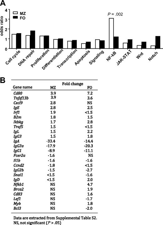 Figure 3. Analyses of gene expression profiling of purified MZ and FO B cells from BCL10 Tg mice by qPCR. (A) Functional classification and enrichment analysis. The genes that distinguished MZ or FO B cells from WT and Tg mice were identified by t test at P < .05, then classified into functional categories by gene ontology. Enrichment of differentially expressed genes in each category for both types of B cells was examined by Fisher exact test. (B) List of known NF-κB target genes found to be differentially expressed genes with fold changes of greater than 1.5 in MZ or FO B cells of WT versus Tg mice.