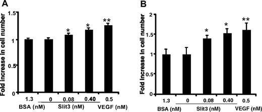 Figure 2. Slit3 stimulates EC proliferation. The cell number of the cultured mouse lung ECs (A) and HUVECs (B) was measured after the addition of recombinant Slit3 at 0 to 0.40 nmol/L in the culture medium. BSA (1.3 nmol/L) served as a negative control, whereas VEGF (0.50 nmol/L) served as a positive control. The data are presented as -fold increase in cell number relative to the BSA control. The results were from 3 independent experiments in triplicate and are expressed as mean ± SD. Asterisks indicate the treatment that yielded statistically significant differences in comparison with BSA control (*P < .05; **P < .005, Student t test).