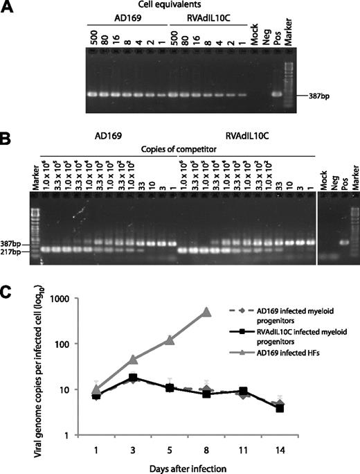 Figure 1. Level of viral DNA in myeloid progenitor cells infected with parental or viral IL-10 deletion viruses. Lysates of myeloid progenitors at day 8 after infection with parental virus (AD169) or viral interleukin-10 (IL-10) deletion virus (RVAdIL10C) were analyzed by (A) cell-dilution PCR using primers IEP3C and IEP4BII4 to detect a 387-bp product derived from HCMV genomic DNA, and (B) QC-PCR in the presence of between 1.0 and 1.0 × 106 copies of competitor template, an HCMV ie1/ie2 cDNA plasmid,4 to determine the amount of viral genomes present in latently infected myeloid progenitors. The number of copies of competitor template added to each reaction is indicated on top of each lane. Arrows represent the position of the 387-bp product derived from HCMV genomic DNA and the 217-bp product derived from the cDNA competitor template. Controls located in another section of the same gel were samples from either mock-infected myeloid progenitors (Mock), productively infected HFs (Pos), or samples without any added DNA template (Neg). (C) At the indicated time points after infection, cells from HCMV strain AD169- and RVAdIL10C-infected myeloid progenitor cell or HF cultures (MOI = 3) were analyzed by cell-dilution PCR and QC-PCR to determine the number of viral genome copies per infected cell. The average from 6 independent replicate experiments is shown as a line graph with SEM.
