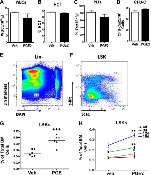 Figure 2. Systemic PGE2 treatment increases the HSC-enriched LSK population without inhibiting hematopoietic differentiation or affecting lineage distribution. (A-C) Peripheral blood analysis of mice treated systemically with PGE2 or vehicle. (A) The total number of white blood cells present in 1 μL blood. (B) %HCT indicates the percentage of blood volume occupied by red blood cells. (C) The number of platelets present in 1 μL blood. Experiment shown is representative of 3 independent experiments. (D) CFU-C assays on bone marrow cells measure more differentiated hematopoietic progenitor cells with the capacity to form colonies in methylcellulose (n = 4/group). (E-F) Flow cytometric strategy used for quantification of LSK cells in the bone marrow of mice treated with either PGE2 or vehicle. 4,6-Diamidino-2-phenylindole was used as a DNA stain to exclude nonviable cells. (G) Quantification of bone marrow LSKs from vehicle- and PGE2-treated C57/bl6 mice (2 separate experiments are included). Points represent the fold difference between PGE2-treated and VEH-treated animals. (H) LSK quantification from FVB/N mice treated daily for 4, 8, 12, and 16 days with vehicle or PGE2 as indicated in the graph. *P ≤ .05. **P ≤ .01. ***P ≤ .001.
