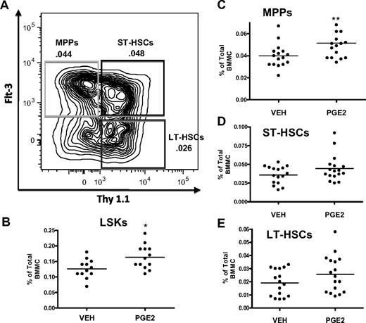 Figure 4. Systemic PGE2 treatment selectively expands the MPP subset of LSK cells. (A) Flow cytometric dot plot illustrating gating scheme for subsets of LSK cells using Flt3 and Thy1.1 surface markers with a parent population of Lin− Sca1+ c-Kit+. (B-E) Flow cytometric analysis of the frequency of LSK cells (B), MPPs (C), ST-HSCs (D), and LT-HSCs (E) in the bone marrow after PGE2 or vehicle treatment. *P ≤ .05, **P ≤ .01 (3 separate experiments are included).