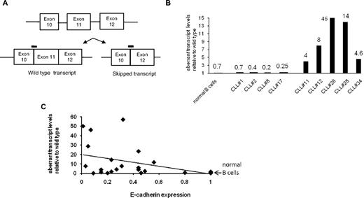 Figure 4. Relative amount of skipped transcript in CLL specimens. (A) Schematic showing the binding sites of the 2 probes that detect different E-cadherin transcripts. (B) Bar diagram showing selected examples of relative levels of aberrant transcript in normal B cells and CLL specimens relative to their wild-type expression. Numbers above the bars represent aberrant E-cadherin transcript levels. (C) Dot-plot analysis of normal B cells and 26 CLL specimens with E-cadherin expression levels on x-axis and relative aberrant transcript expression on the y-axis. Significant statistical correlation with P = .018.