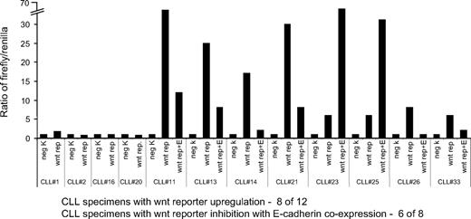 Figure 5. Wnt reporter activity in CLL specimens. Bar diagram with wnt reporter activity. Each CLL sample was transfected with the negative control vector (neg K, firefly luciferase lacking TCF/LEF binding sites), or the wnt reporter (wnt rep, wnt reporter vector with TCF/LEF binding sites and empty vector), or the wnt reporter plus E-cadherin expression vector (wnt rep + E). Constitutively expressing Renilla luciferase was cotransfected in all of the groups as a control for transfection efficiency. Reporter expression of the negative control (firefly to Renilla ratio) was arbitrarily kept as 1 unit for each CLL case.