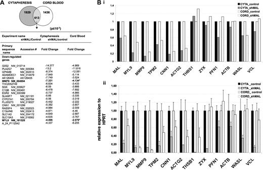 Figure 5. Gene profiling of MKs after MAL knockdown. CD34+ cells isolated from cord blood and cytapheresis were transduced with the control lentivirus or the lentivirus-expressing shMAL. At day 9 of culture, cells expressing GFP were sorted and mRNA was subjected to microarray analyses using Agilent Human Whole Genome 44K oligonucleotide arrays (A) and to quantitative RT-PCR (B). (A) A total of 1929 and 1436 probe sets were found significantly deregulated in MKs derived from cytapheresis and cord blood, respectively, with a 613 probe set common to both. The table shows primary sequence name, accession number, and fold change of the 20 most down-regulated genes after MAL knockdown in cytapheresis- and cord blood-derived MKs. (B) Validation of microarray data (i) by quantitative RT-PCR (ii) for 12 selected genes. The error bars represent the SD of the mean of 3 repeated experiments each performed in triplicate wells.