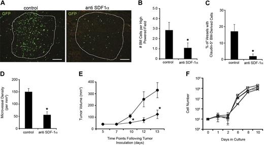Figure 4. Blocking SDF-1α activity inhibits BM contribution to tumor neovascularization. After LLC inoculation, mice were treated with intratumoral anti–SDF-1α antibodies to block BM contribution (n = 5). (A-B) Tumors treated with anti–SDF-1α contained significantly lower numbers of BM-derived cells throughout the tumor mass seen visually (A; scale bars represent 100 μm) and by counting GFP+ cell numbers in standardized field sizes (B; *P < .05). (C-D) Treated mice also had significantly fewer cells integrated within blood vessel walls (C) and decreased MVD (D) compared with control tumors (*P < .05). (E) Animals treated with anti–SDF-1α antibodies (♦) also generated significantly smaller tumors in comparison with controls (●; *P < .05). (F) The growth kinetics of LLCs in culture with various doses of anti–SDF-1α antibodies (0 to 50 μg/mL) were similar over the range of concentrations tested. No cytotoxicity was observed at 0 (○), 12.5 (□), 25 (▵), and 50 μg/mL (x) of the anti–SDF-1α antibodies in growth media (n = 4).