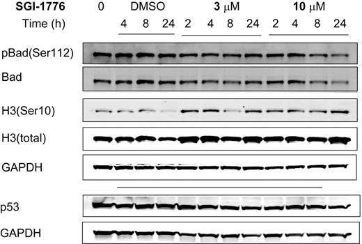 Figure 3. Immunoblot analysis of potential target proteins in CLL primary cells treated with SGI-1776. CLL primary cells (patient no. 5) were either untreated, treated with 0.1% vehicle DMSO alone, or treated with 3 or 10 μmol/L SGI-1776, and cells were harvested after 2, 4, 8, and 24 hours and lysed. The protein levels of pBad(Ser112), total Bad, histone H3(Ser10), total histone H3, and p53 were analyzed by the use of immunoblot and normalized with GAPDH as a loading control.
